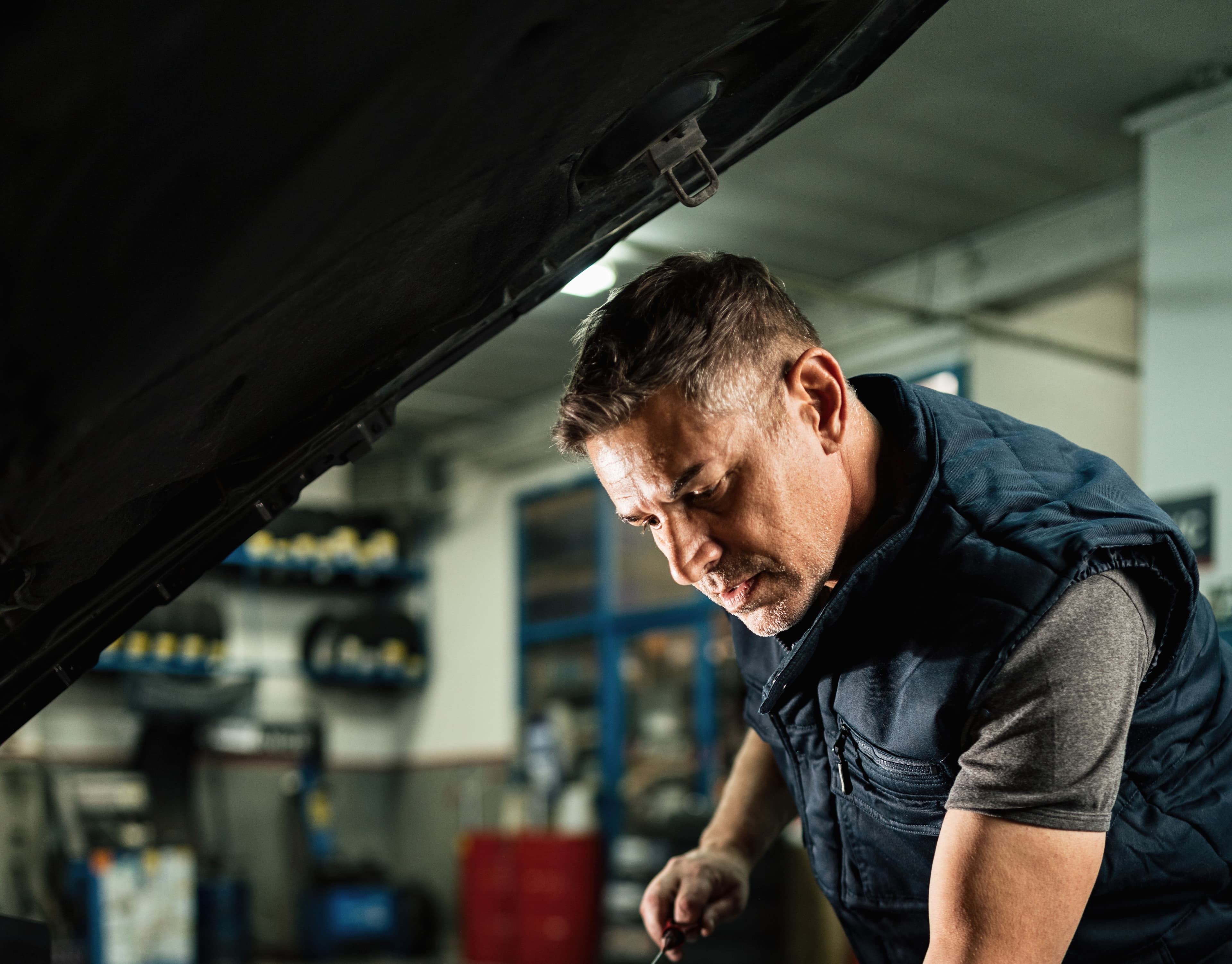 Paulo Henrique Rocha avatar